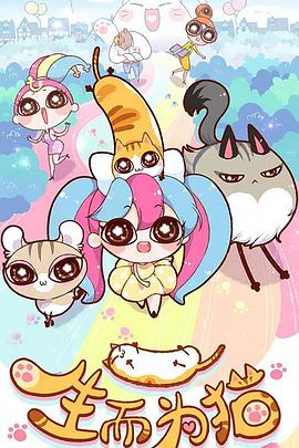 河北seo推广哪家最好